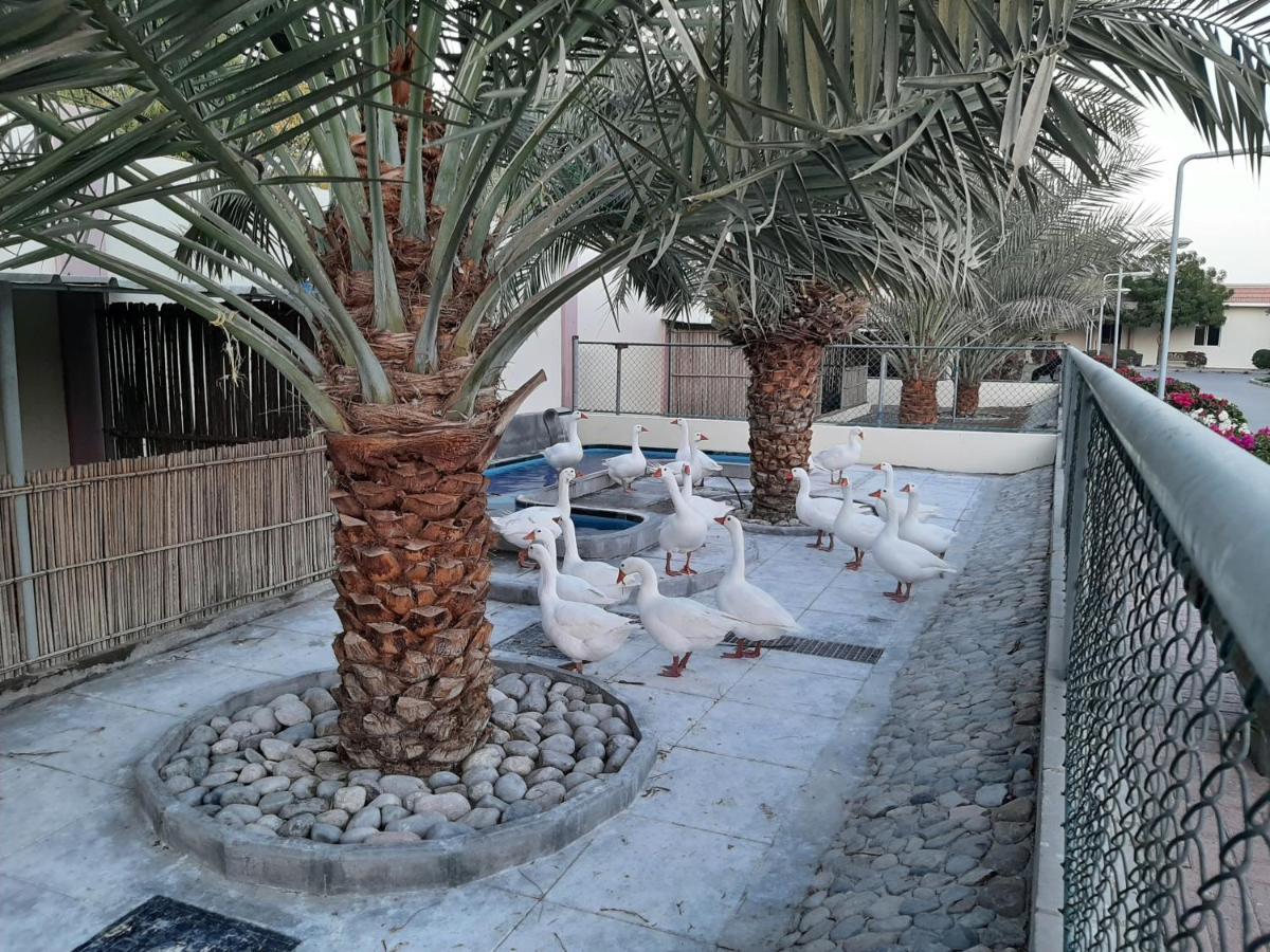 Asahalah Farm Villas Seeb Luaran gambar