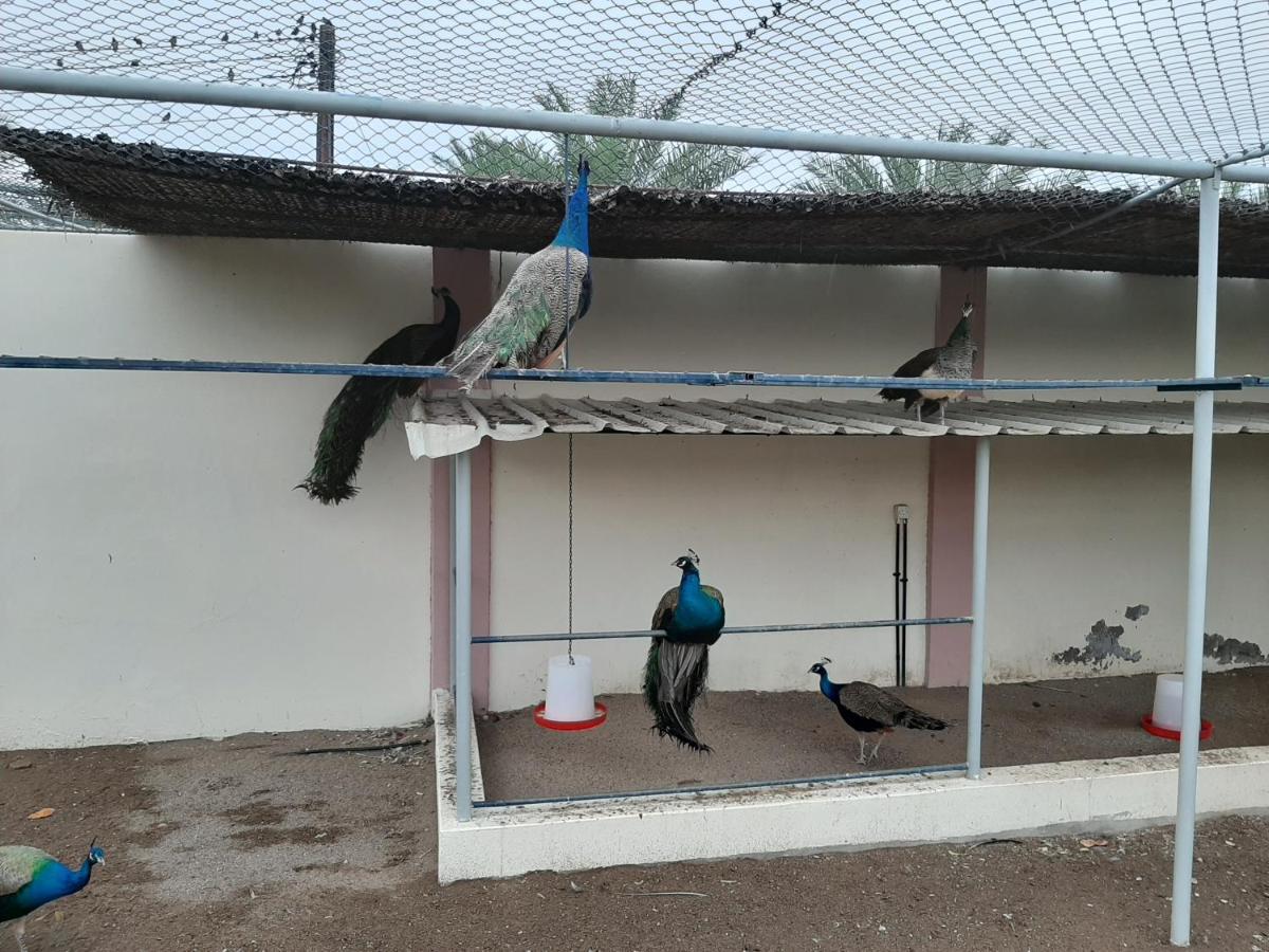 Asahalah Farm Villas Seeb Luaran gambar