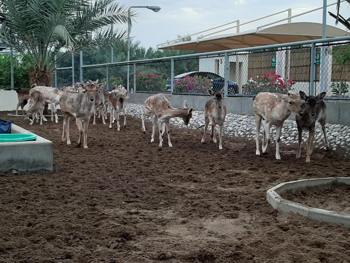 Asahalah Farm Villas Seeb Luaran gambar