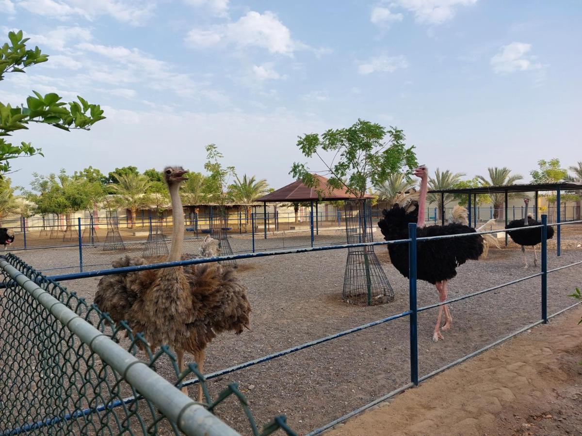 Asahalah Farm Villas Seeb Luaran gambar